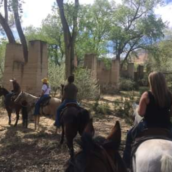 Grand Junction Vineyard Horse back tour