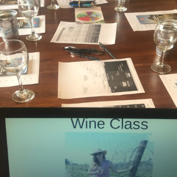 Virtual Wine Tasting and In home Wine Class