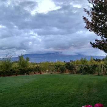View From Vineyard in Palisade Colorado